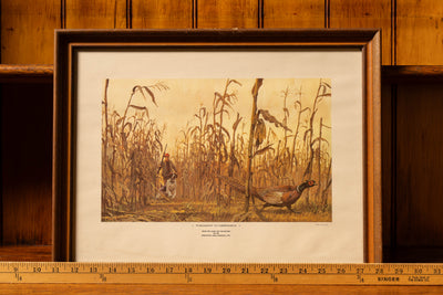 Remington Arms "Pheasant in Nebraska" Game Art Collection Framed Litho