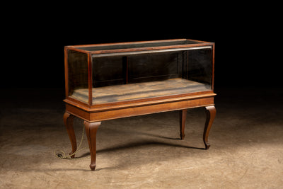 Early 20th Century Lighted Display Case