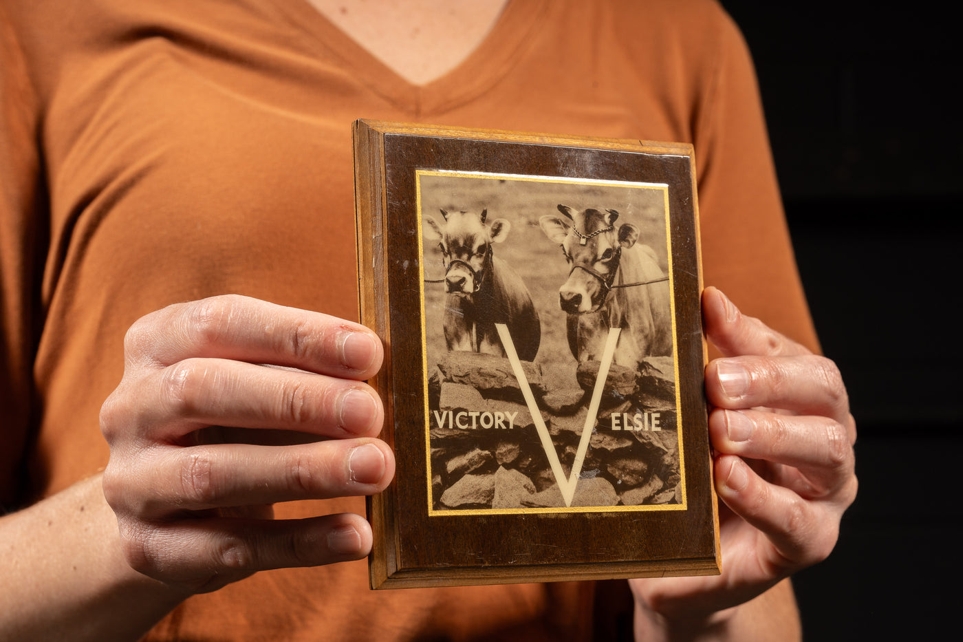 Borden's Dairy WWII Victory Plaque