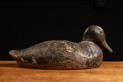 Early 20th Century Wooden Duck Hunting Decoy