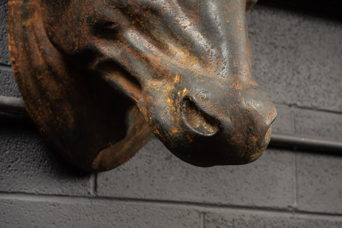 Vintage Composite Bull's Head