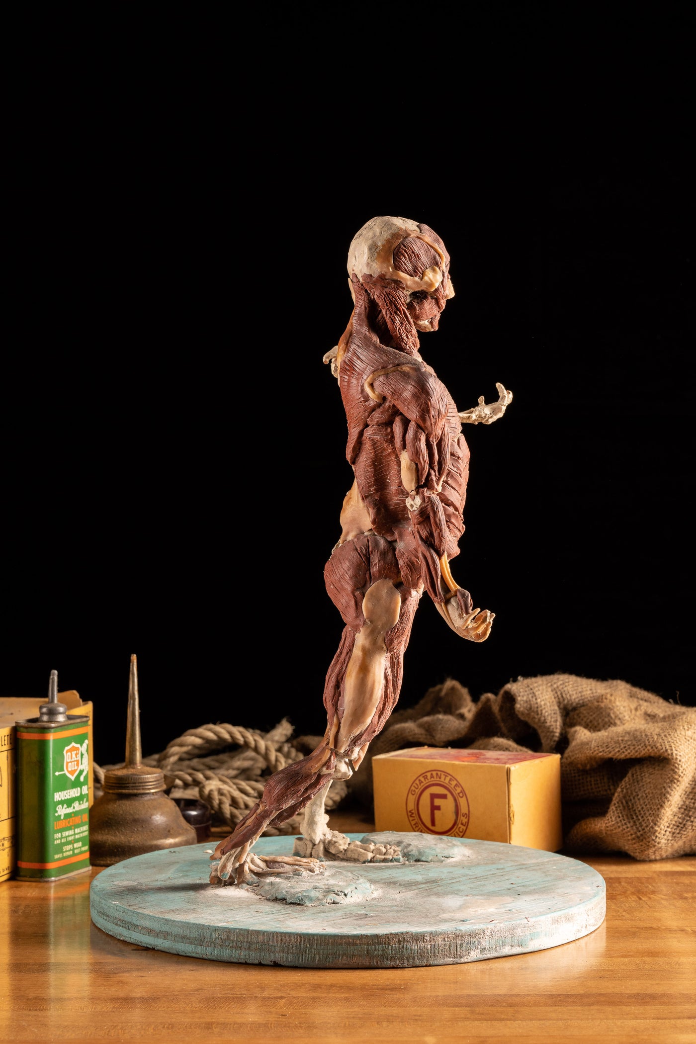 Folk Art Anatomy Model