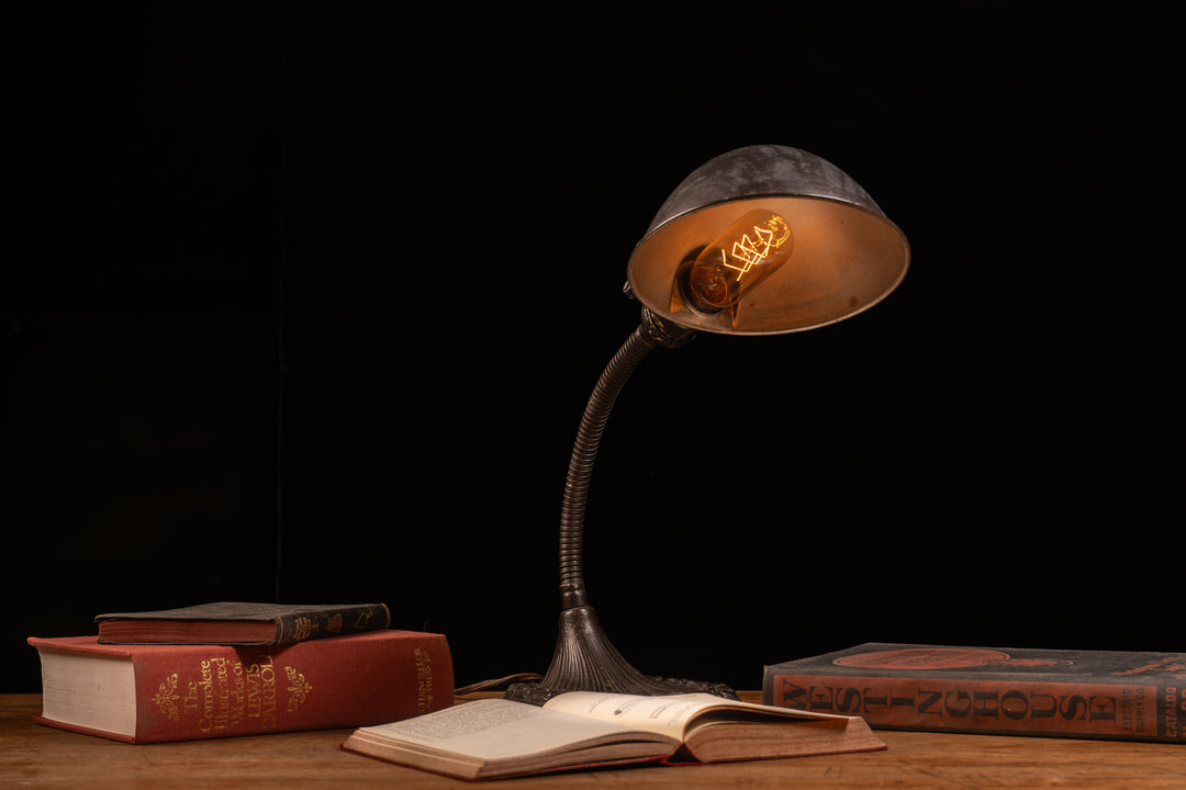 Antique Cast Iron No. 50 Adjustable Desk Lamp by Aladdin
