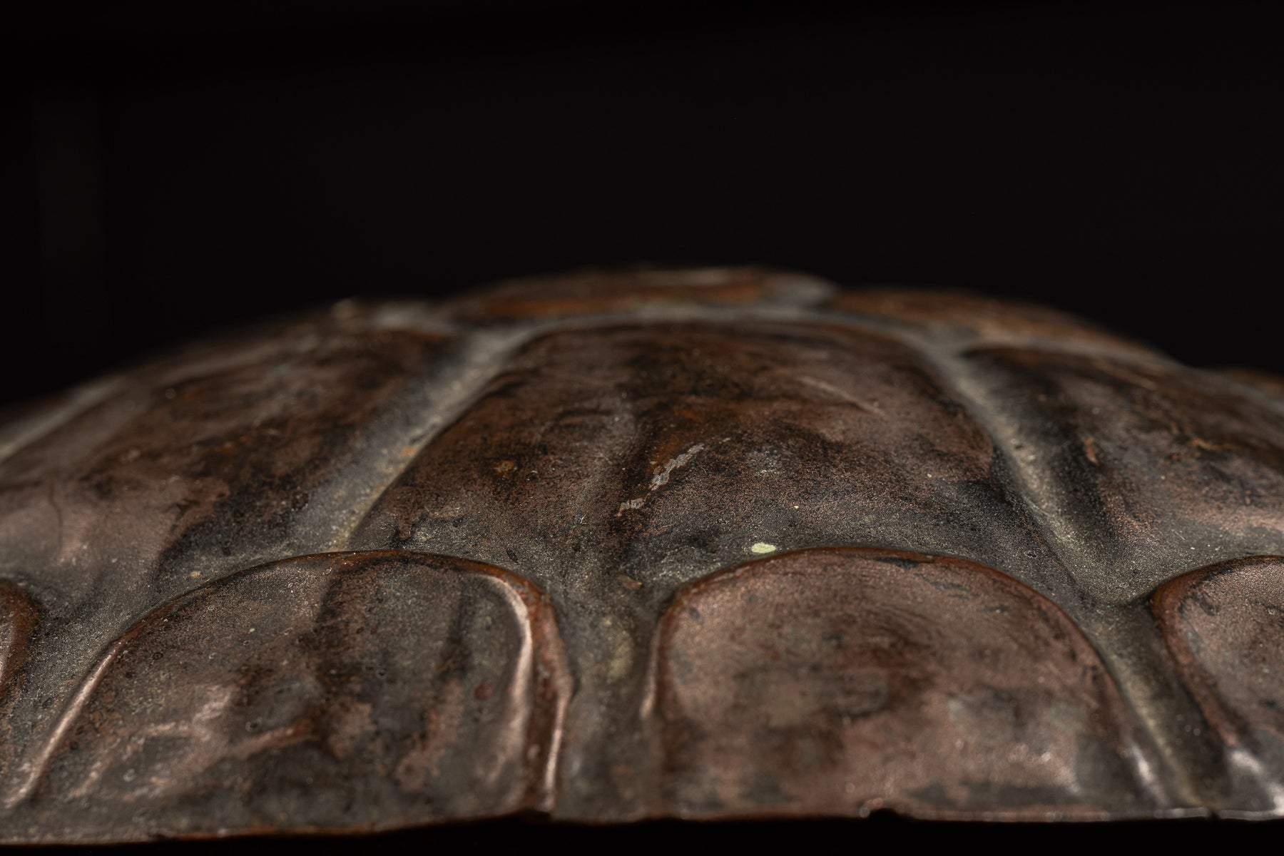 Early 20th Century Cast Iron Turtle Spittoon – Industrial Artifacts