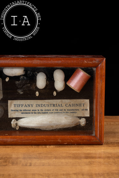 Early 20th Century Silkworm Industrial Nature Cabinet