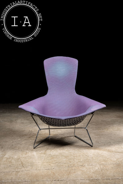 1970s Bird Chair by Harry Bertoia for Knoll