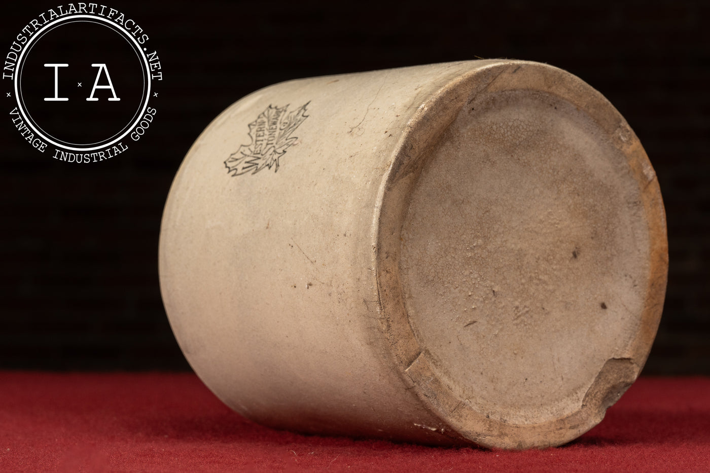 Early 20th Century Western Stoneware 1 Gallon Maple Leaf Jug