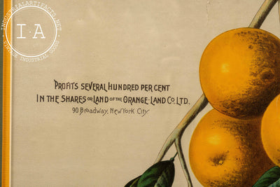 Antique Orange Stock Advertising