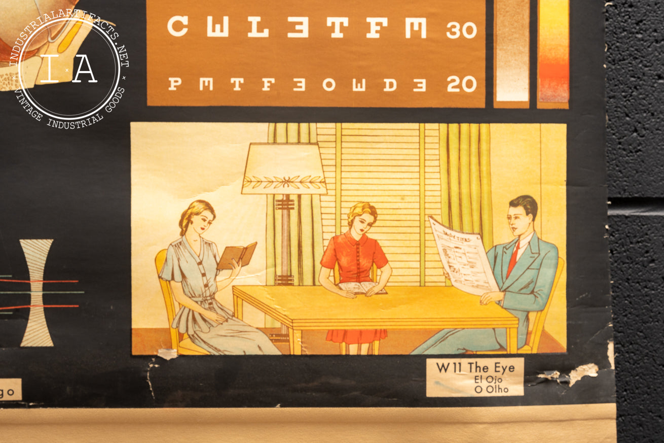 1959 Winslow Heath And Hygiene Series - W11: The Eye