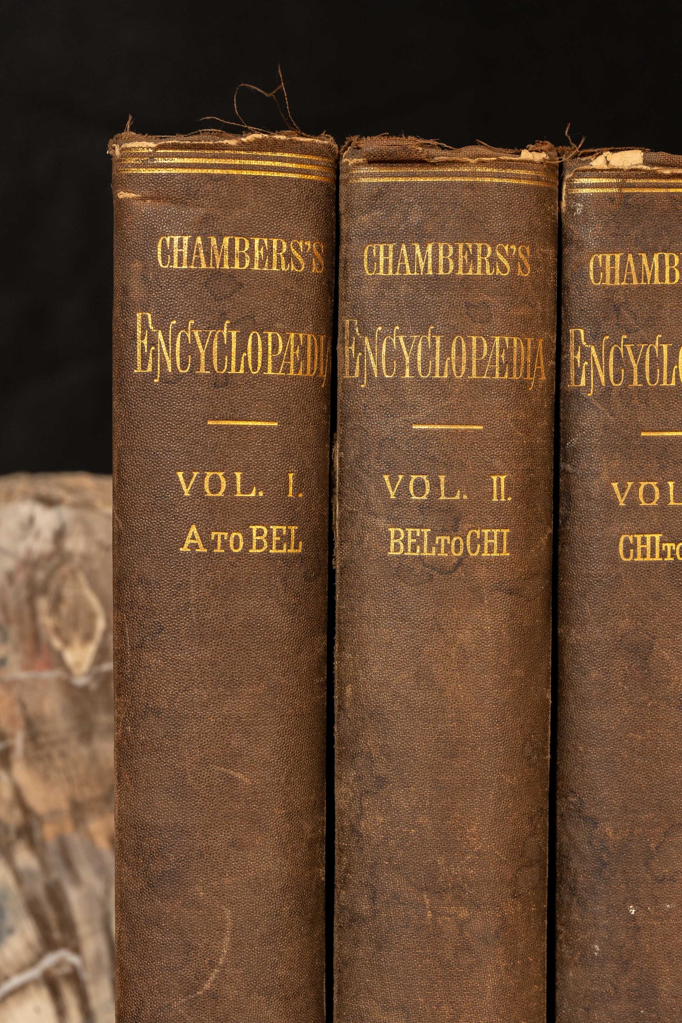 Complete Set of 19th Century Chambers's Encyclopædias