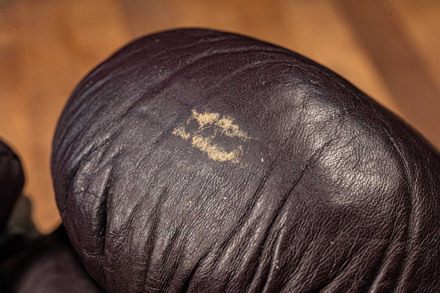 Vintage Everlast 2616 Boxing Gloves