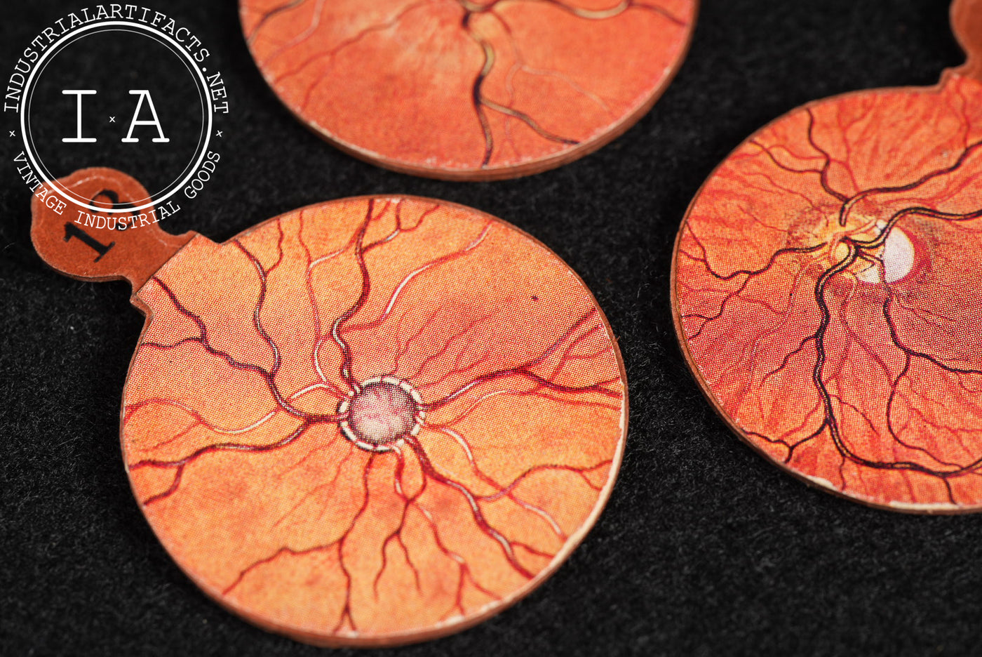 Early Fischer Schematic Eye Apparatus in Box by Riggs Optical