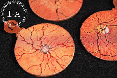 Early Fischer Schematic Eye Apparatus in Box by Riggs Optical