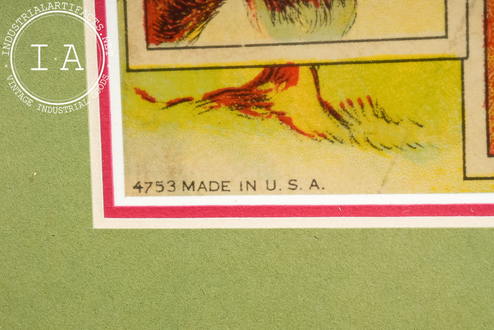 Early 20th Century Sectional Animals Card Box in Frame