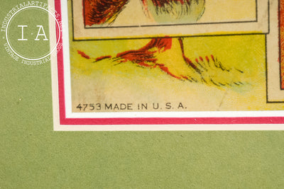 Early 20th Century Sectional Animals Card Box in Frame