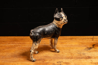 Early 20th Century Cast Iron Figural Dog Doorstop - Boston Terrier