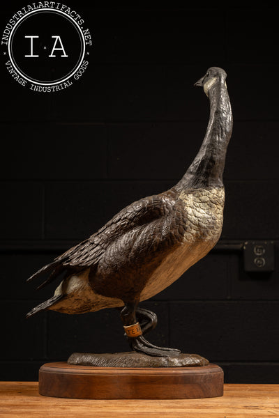 Bronze Canada Goose Sculpture “Nature’s Delight” by James E. Hoker