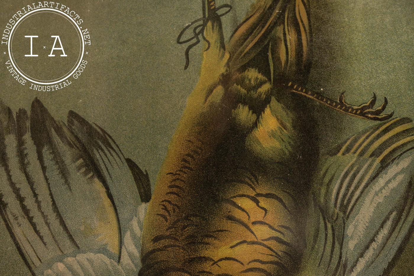 Antique “Partridge” Still Life Lithograph by Hadland