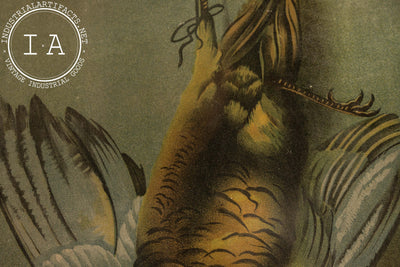 Antique “Partridge” Still Life Lithograph by Hadland