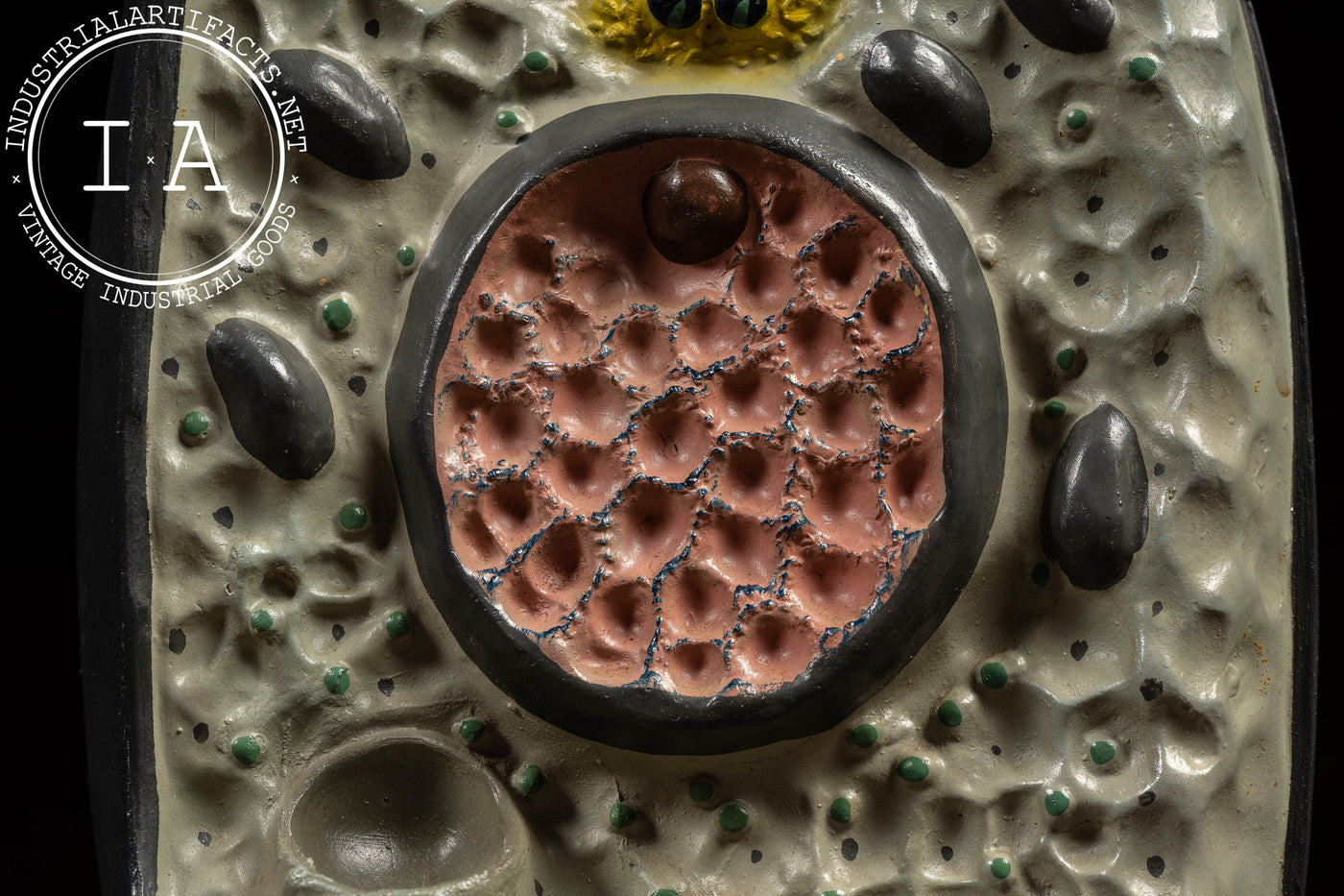 The Cell | Vintage Turtox Scientific Model by General Biological Supply