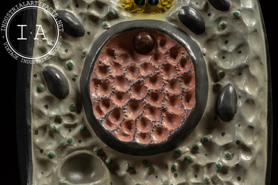 The Cell | Vintage Turtox Scientific Model by General Biological Supply