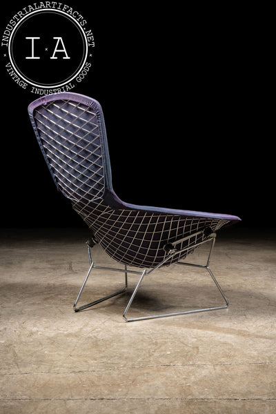 1970s Bird Chair by Herry Bertoia Bird for Knoll