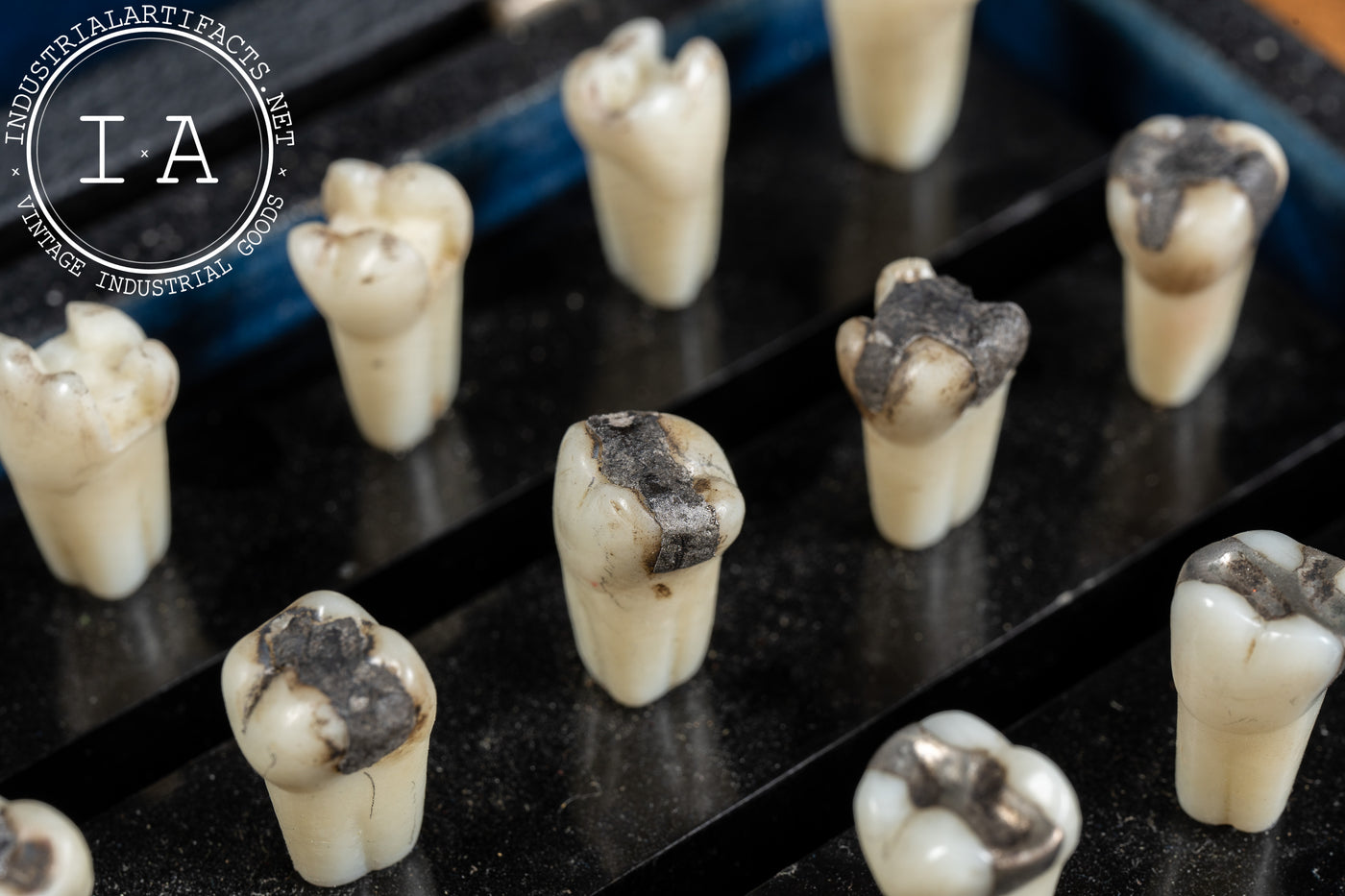 Vintage Dentoform Tooth Case