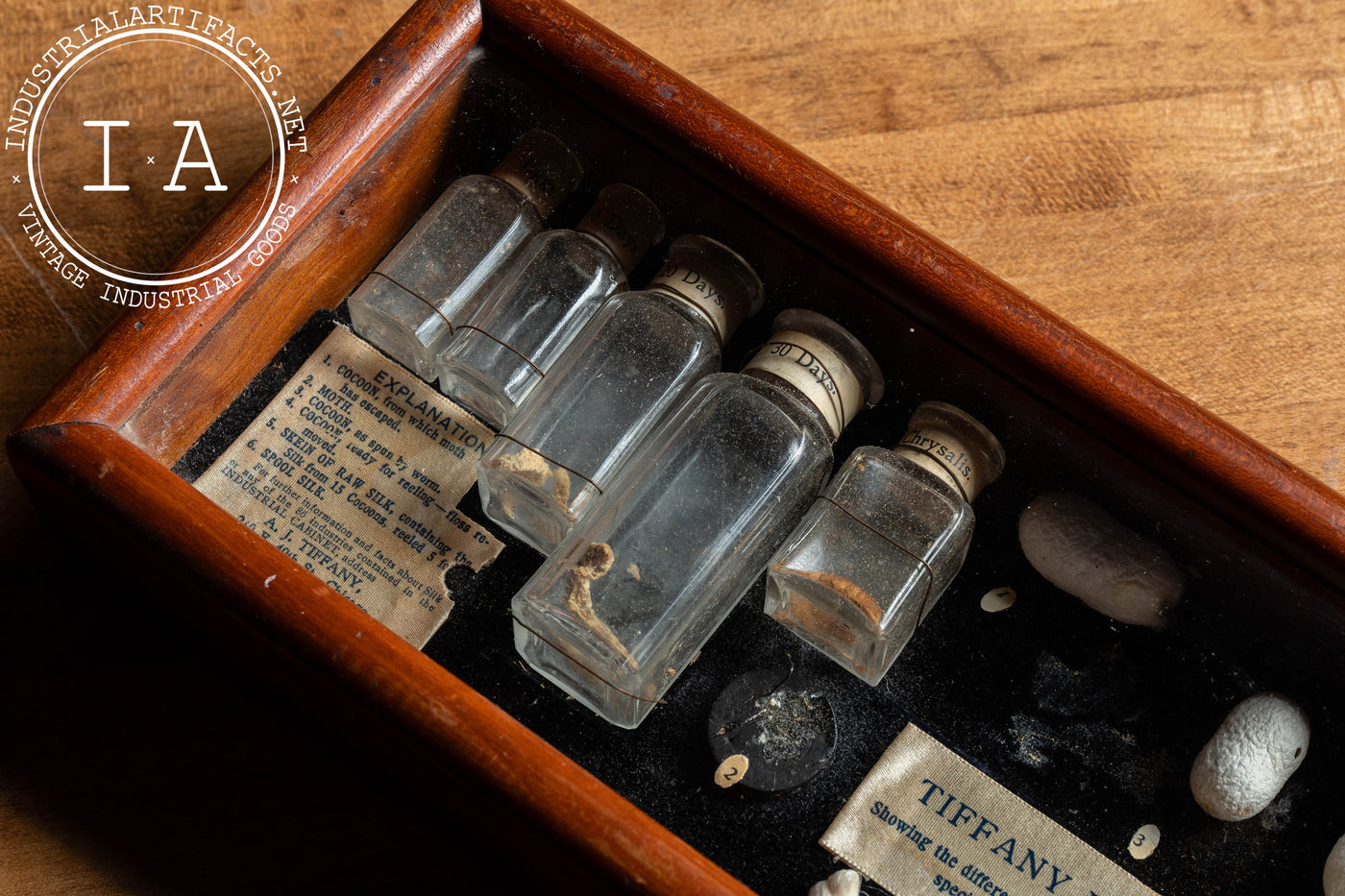 Early 20th Century Silkworm Industrial Nature Cabinet