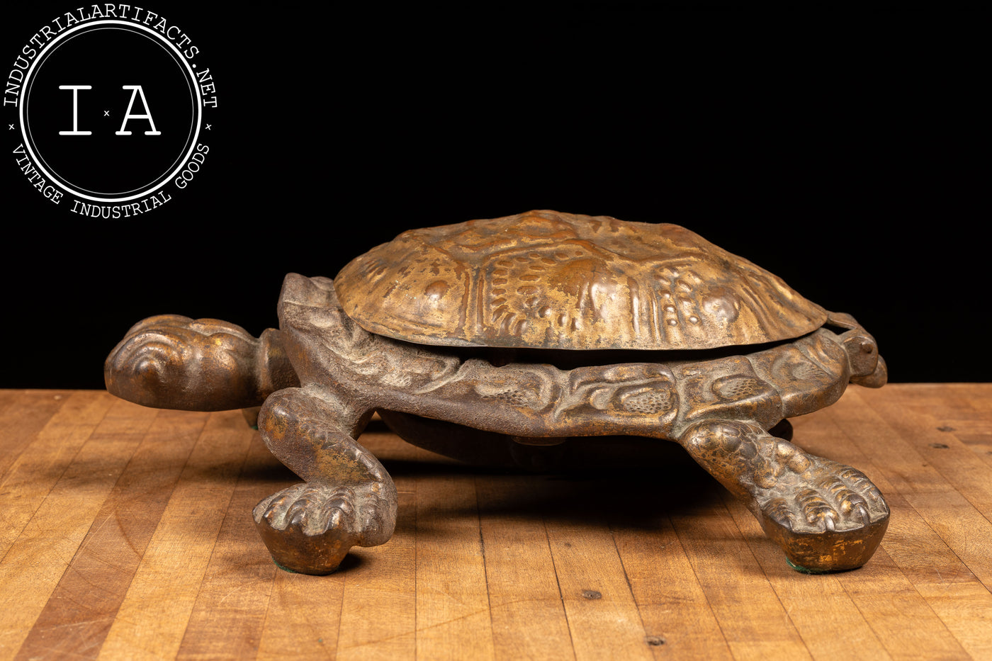 Early 20th Century Bronze Turtle Cuspidor