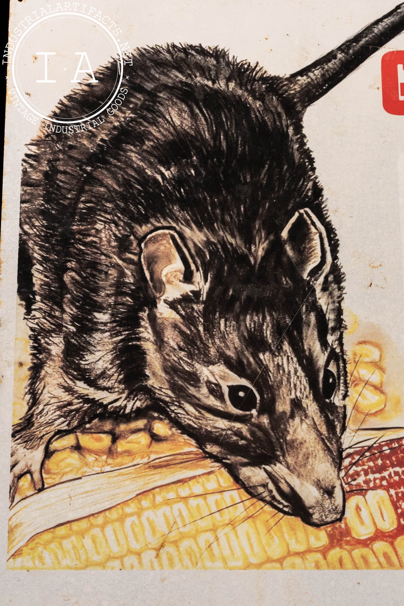 Vintage Purina Rat Controls Advertising Sign