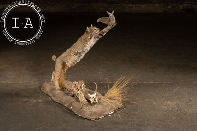 Vintage Taxidermy Bobcat with Quail Mount