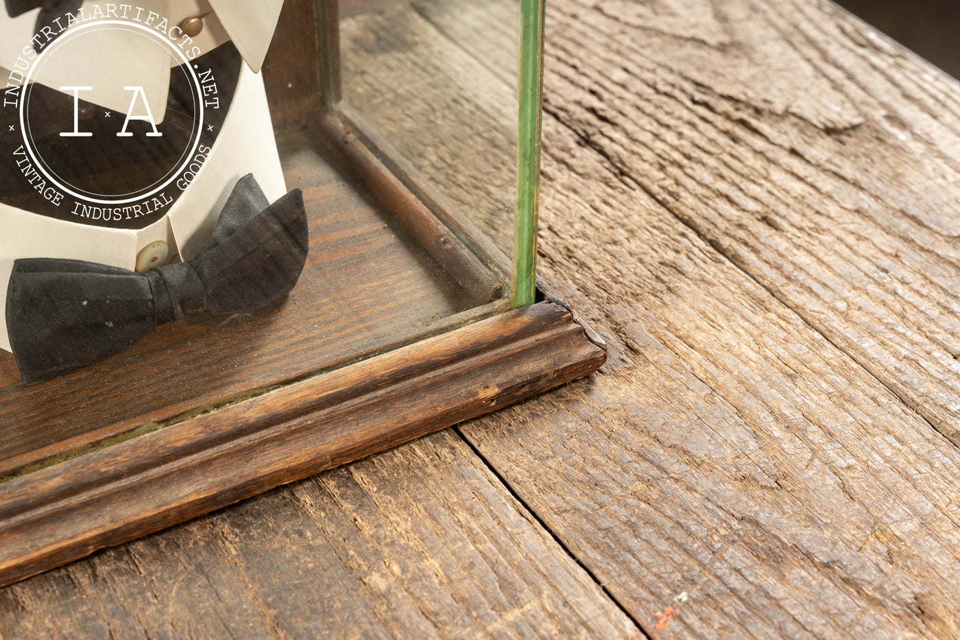 Early 20th Cent. Philadelphia Haberdashery Collar Display Case