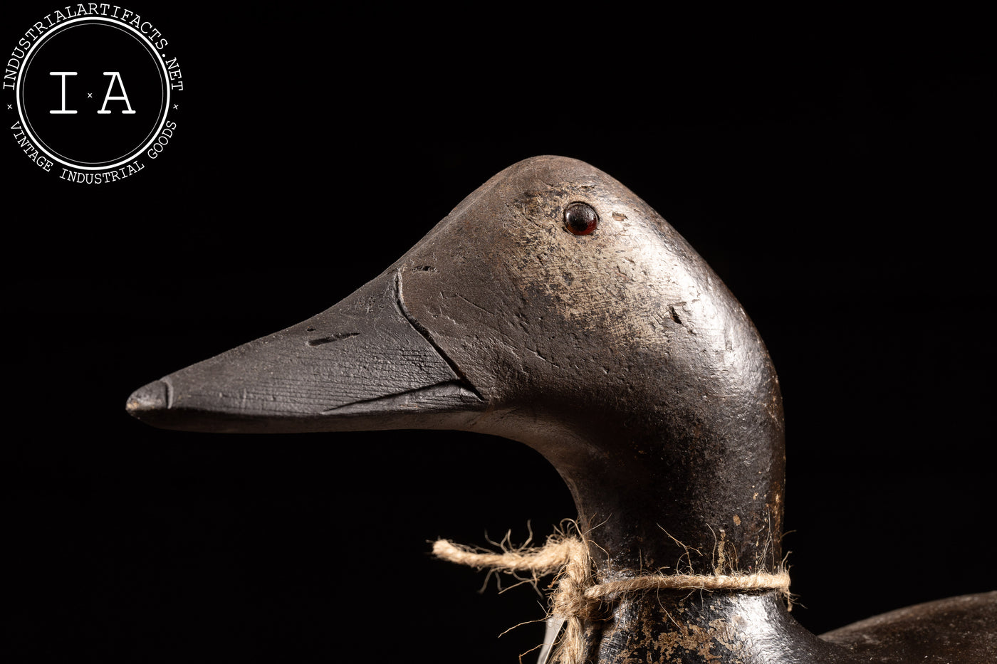 c. 1927 Canvasback Hen Wooden Decoy