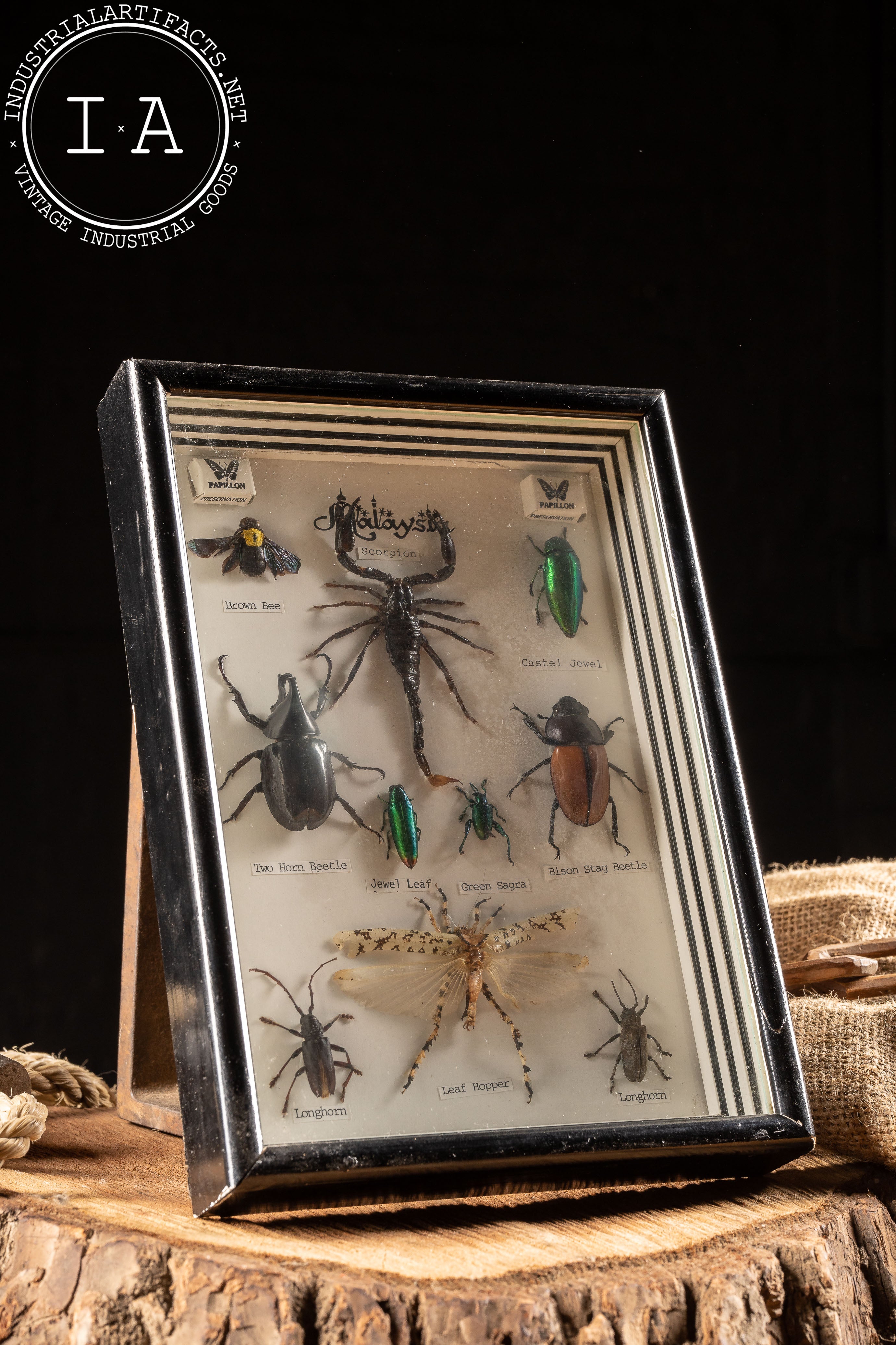 Cadres vintage papillons naturalisés | Selency Cadres vintage papillons naturalisés | Selency