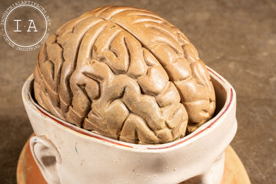 c. 1950 Denoyer Geppert Antique Brain Model