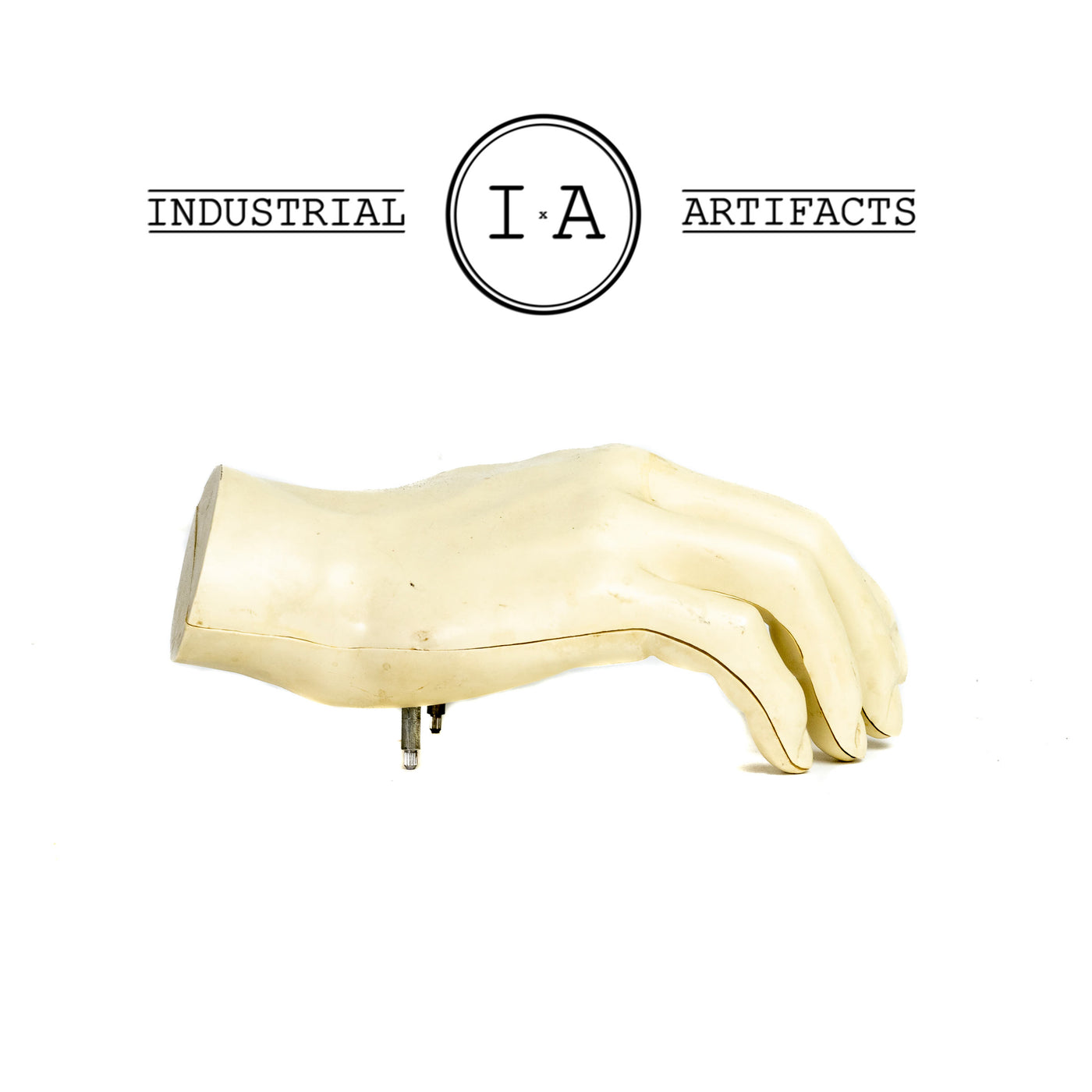 Vintage Anatomical Hand Model
