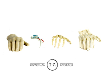 Vintage Anatomical Hand Model