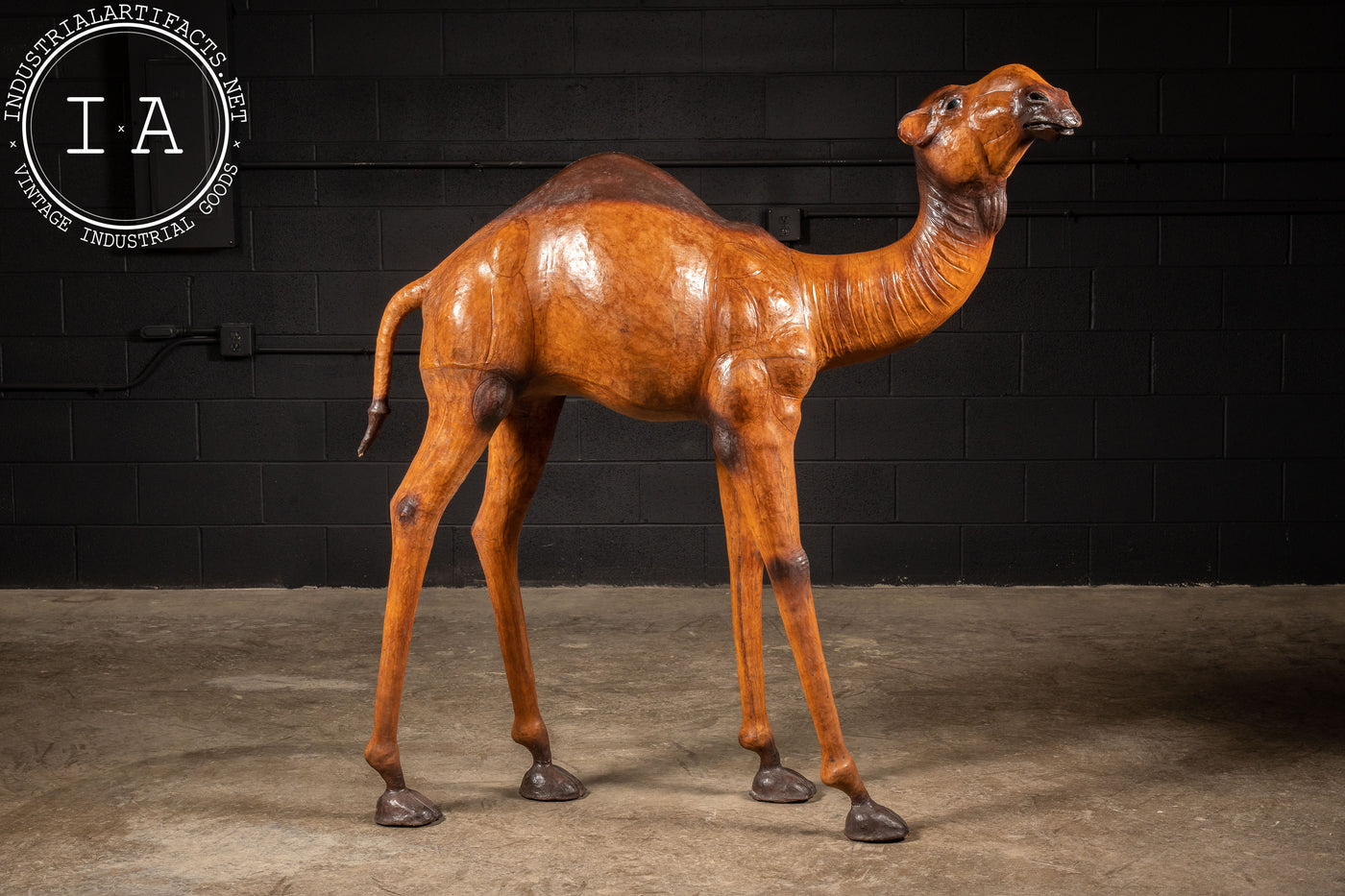 Massive Vintage Leather Camel