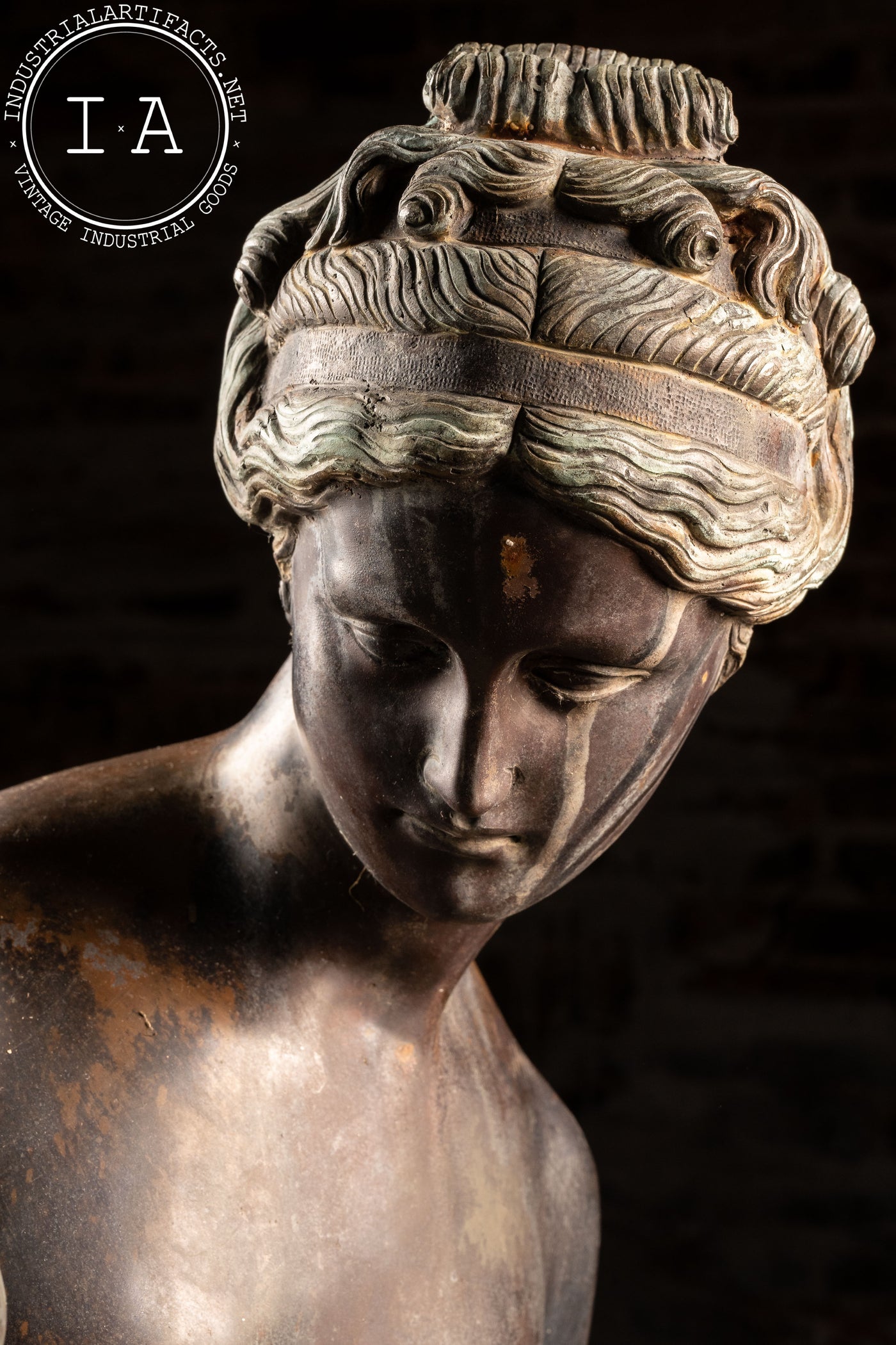 Vintage Oxidized Bronze Statue